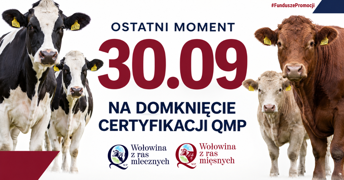 Baner_QMP_do_3009.png
